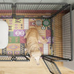 Foldable Pet Playpen 6-Panel
