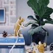 Mini Nordic Mouse Lamp with Industrial Design