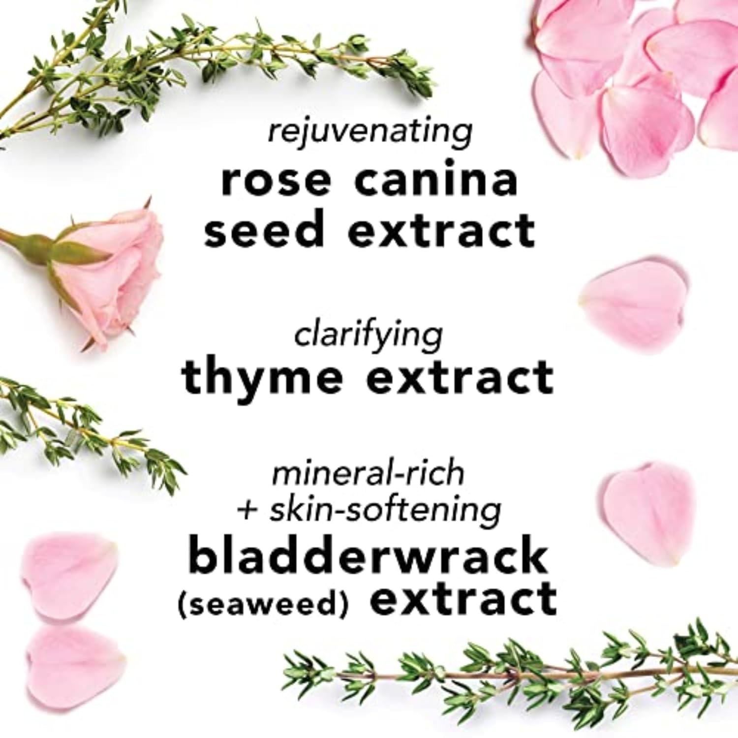 Rosewater Hydrating Daily Face Mist