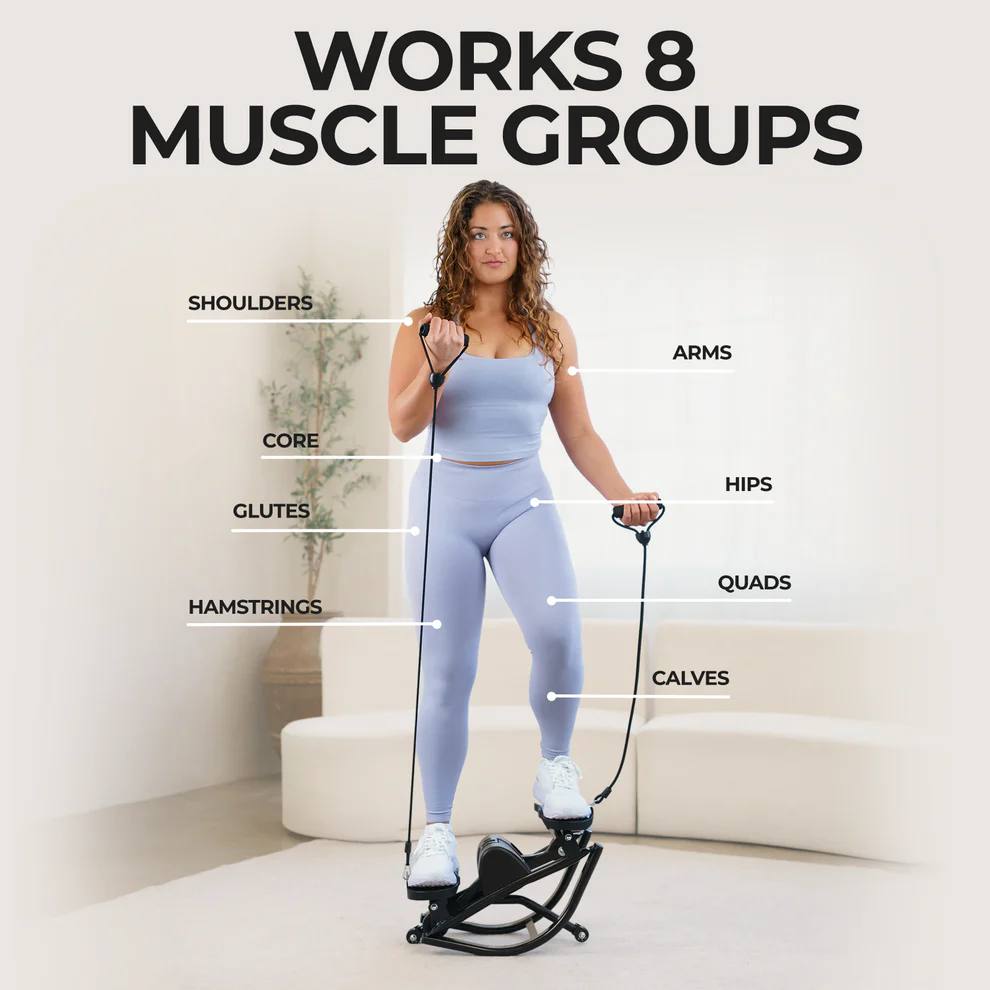 Home Twist Stepper Pro