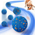 Pogo Pop Active Play Ball
